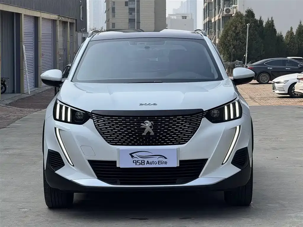 Peugeot 2008 2023 из CN, фото 1