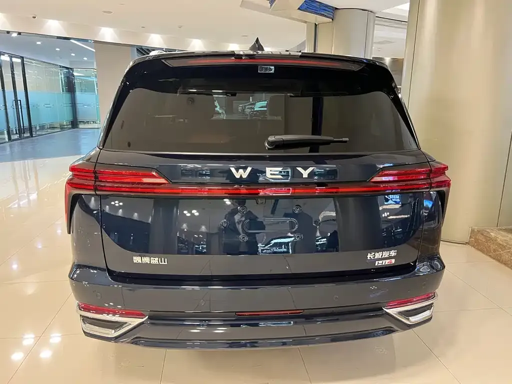 Wey Lanshan 2025 из CN, фото 10