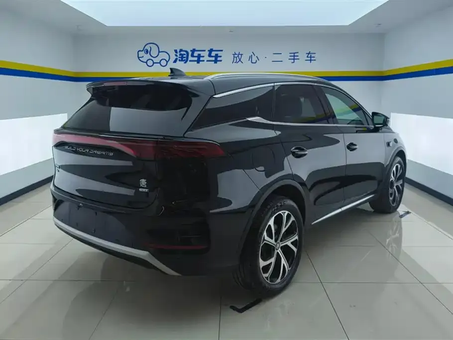 BYD Tang New Energy — фото 5