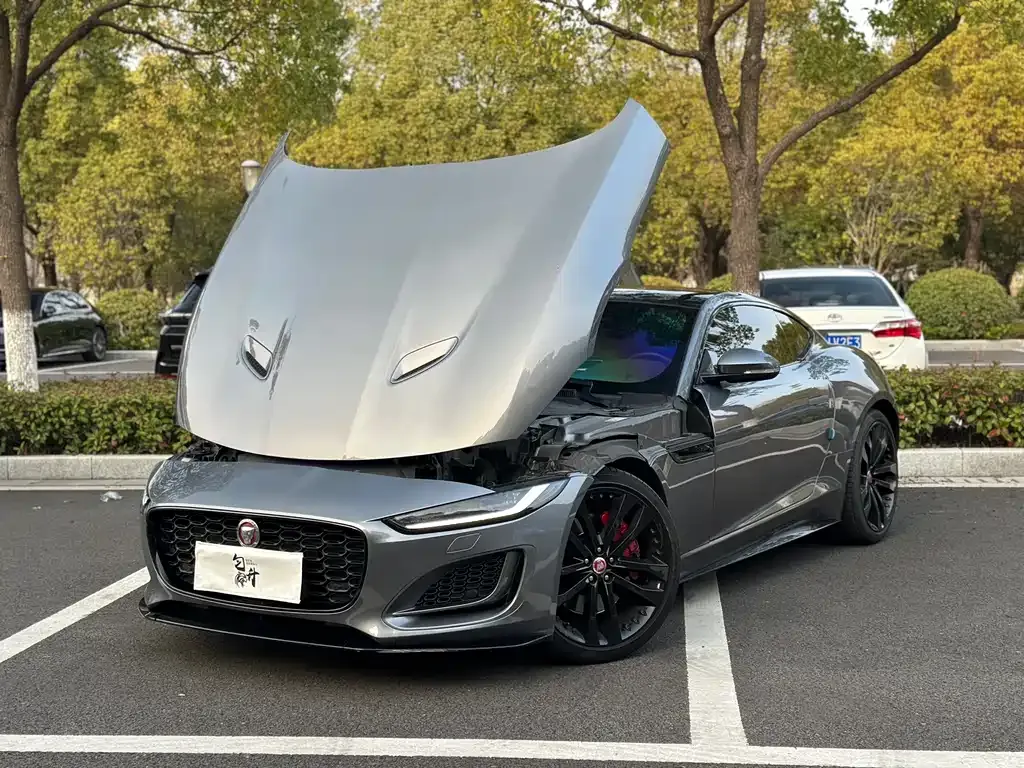 Jaguar F-TYPE 2022 из CN, фото 8