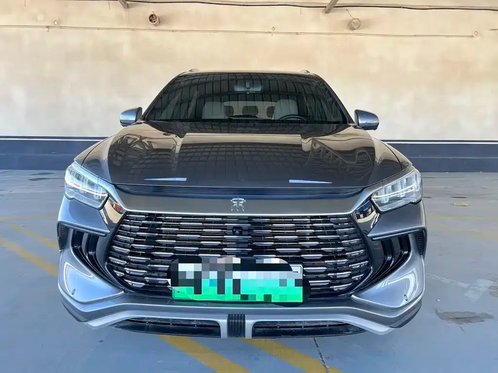 BYD Pro New Energy — фото 2