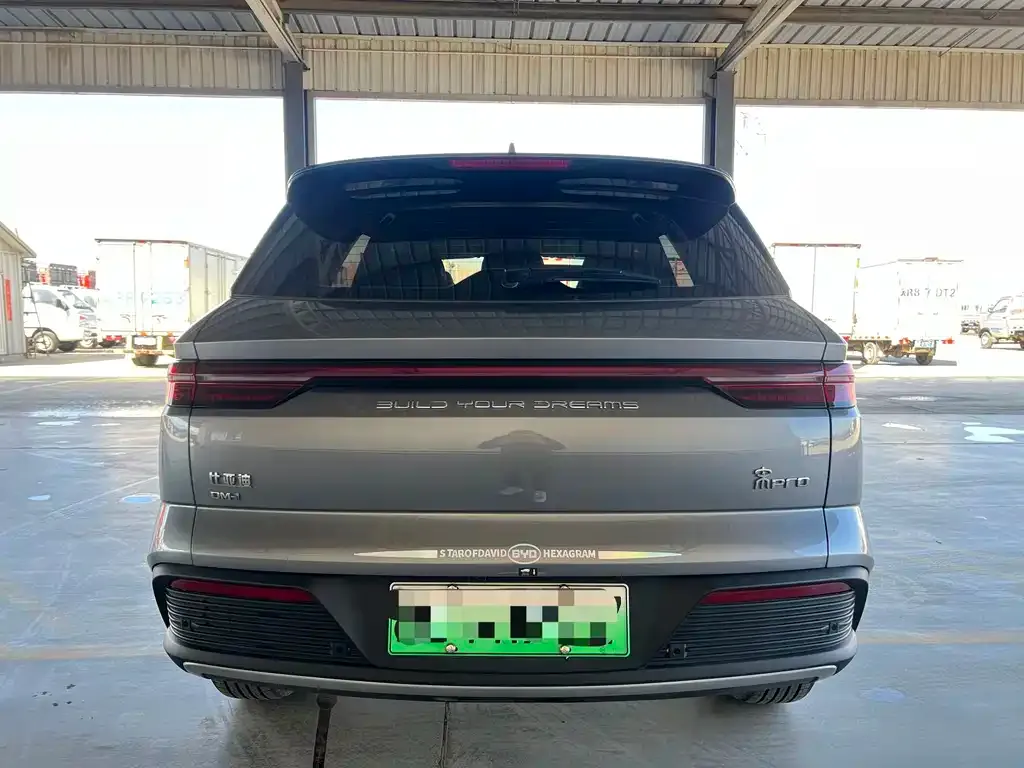 BYD Pro New Energy — фото 5