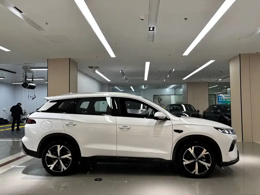 BYD Pro New Energy — фото 2