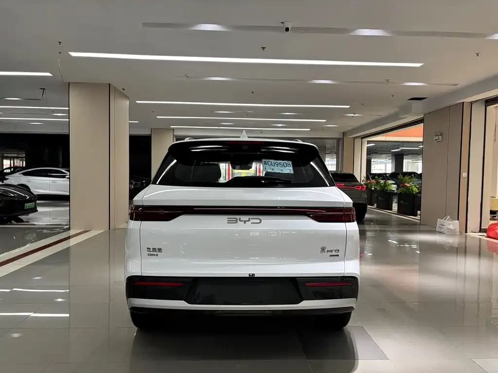 BYD Pro New Energy — фото 5