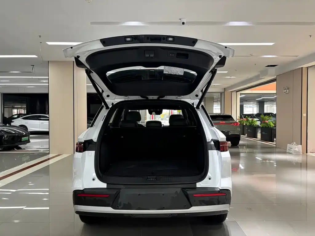 BYD Pro New Energy — фото 9