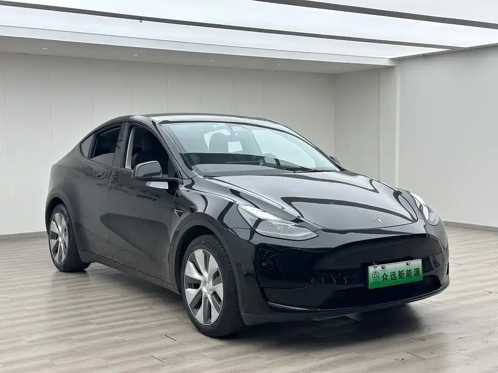Tesla Model Y — фото 2