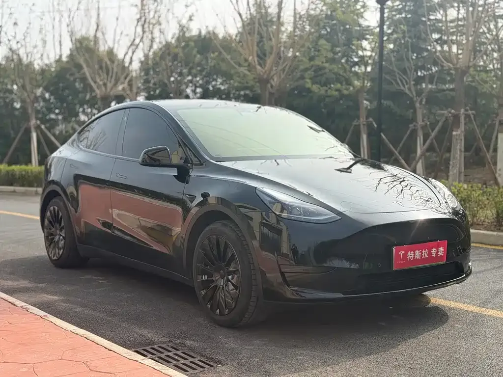 Tesla Model Y — фото 3