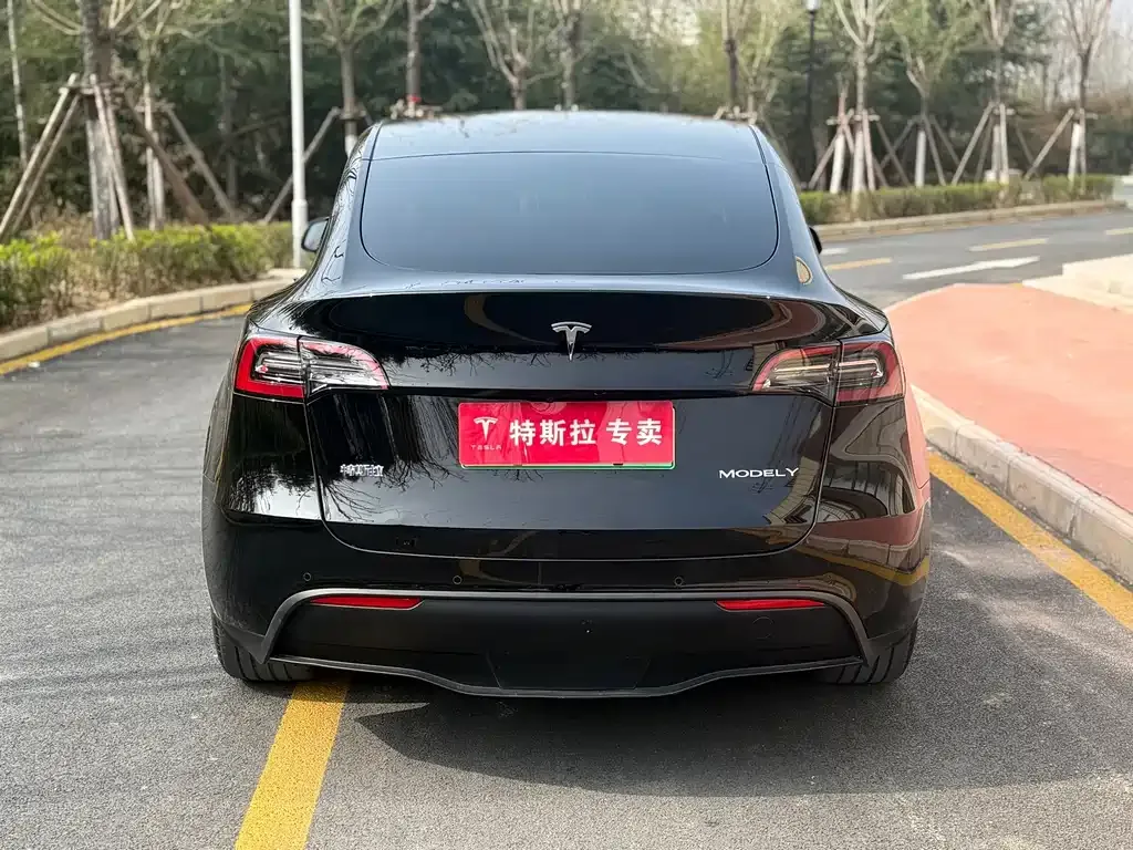 Tesla Model Y — фото 5