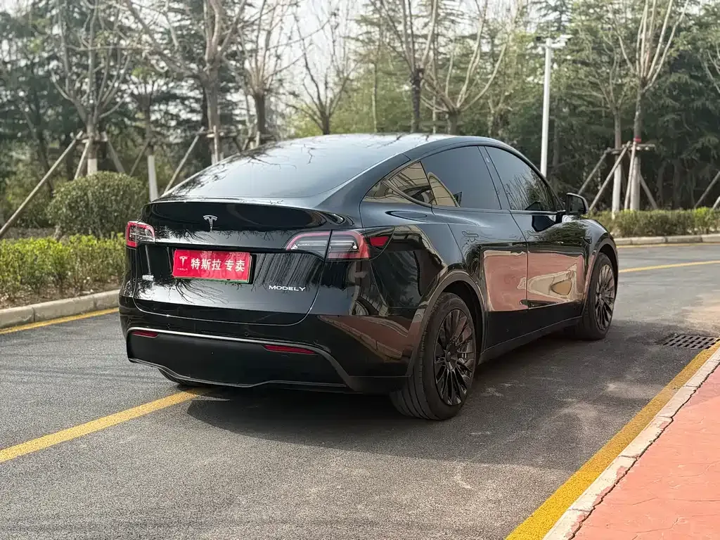 Tesla Model Y — фото 9