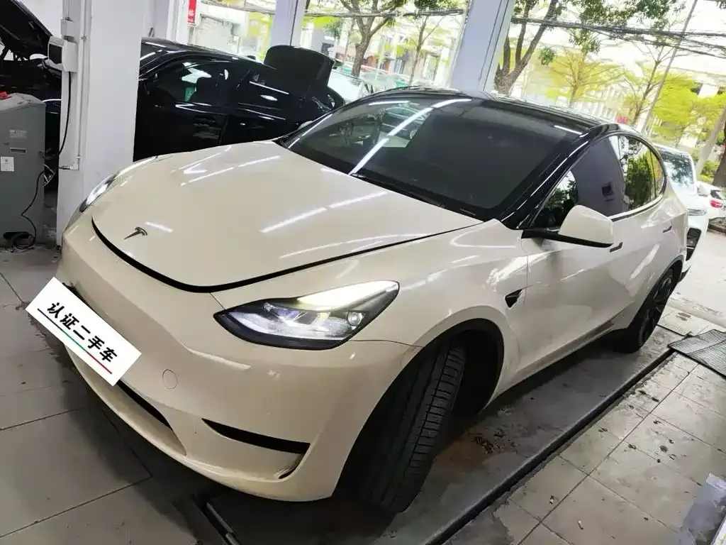 Tesla Model Y — фото 1