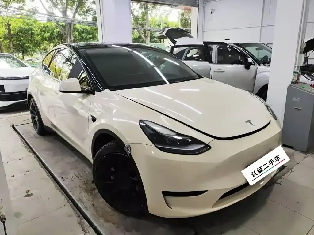 Tesla Model Y — фото 2