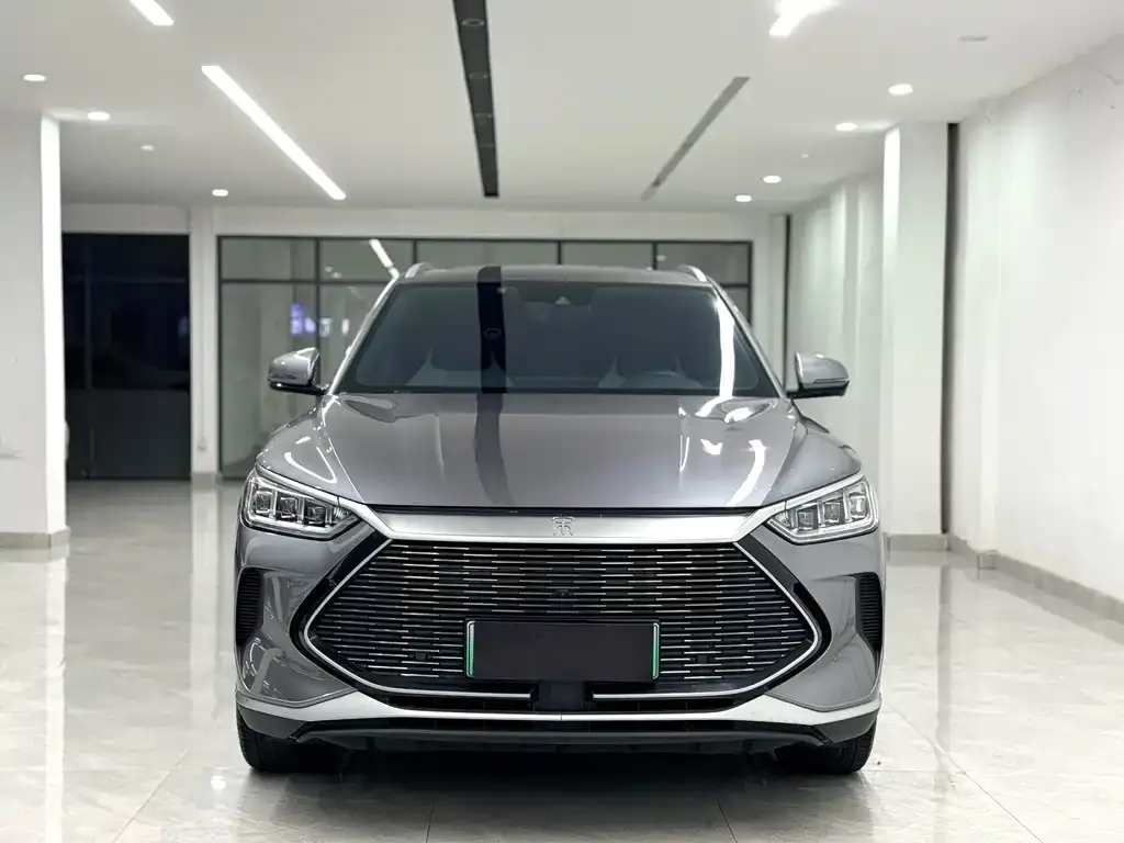 BYD PLUS New Energy — фото 3