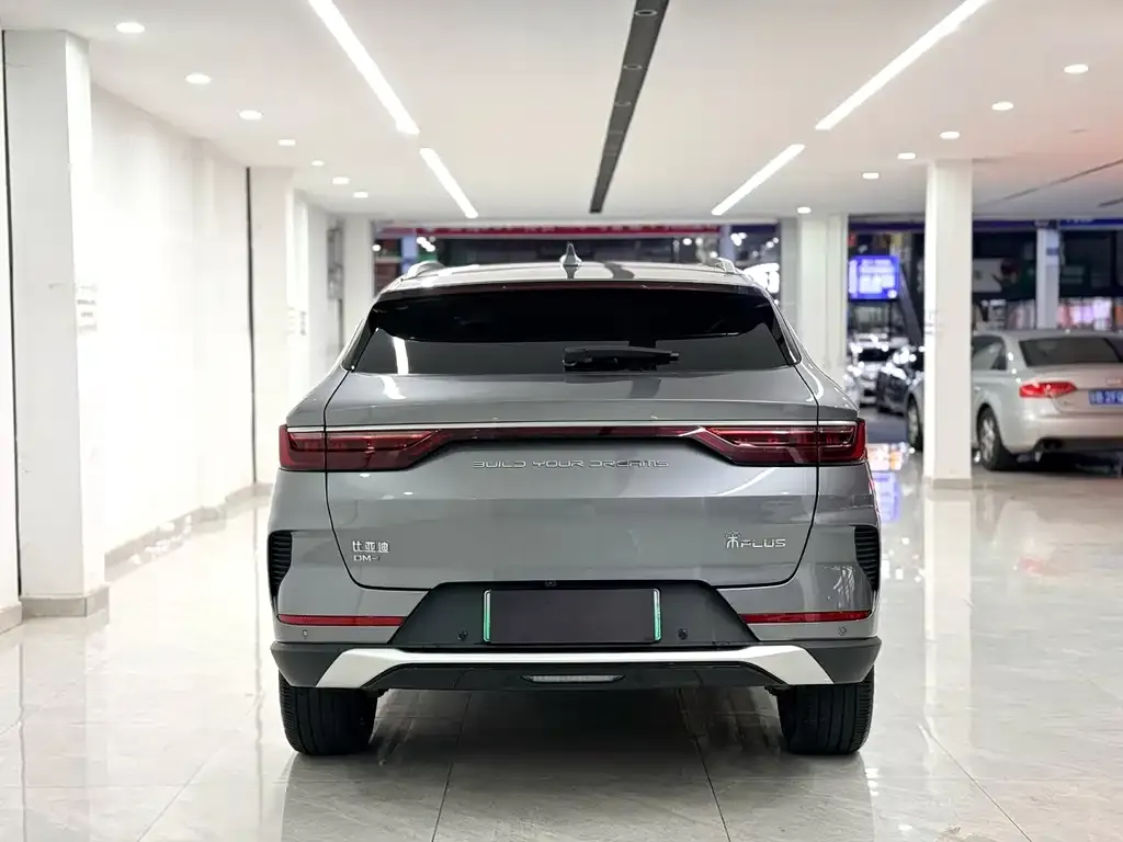 BYD PLUS New Energy — фото 4