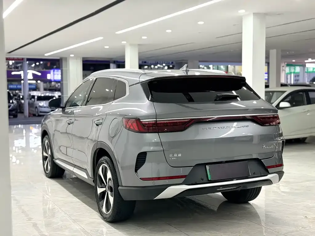 BYD PLUS New Energy — фото 9