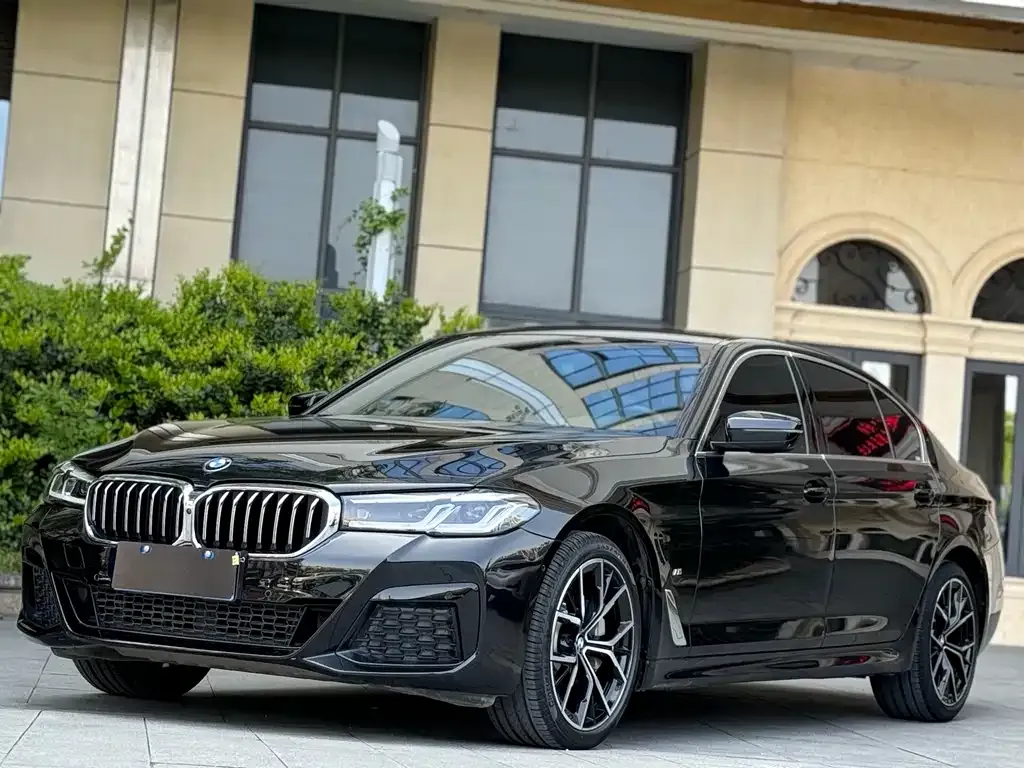 BMW 5 Series 2021 из CN, фото 1