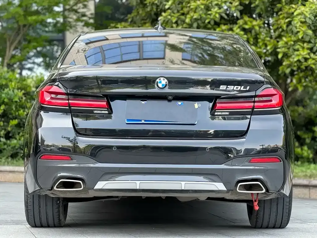 BMW 5 Series 2021 из CN, фото 5