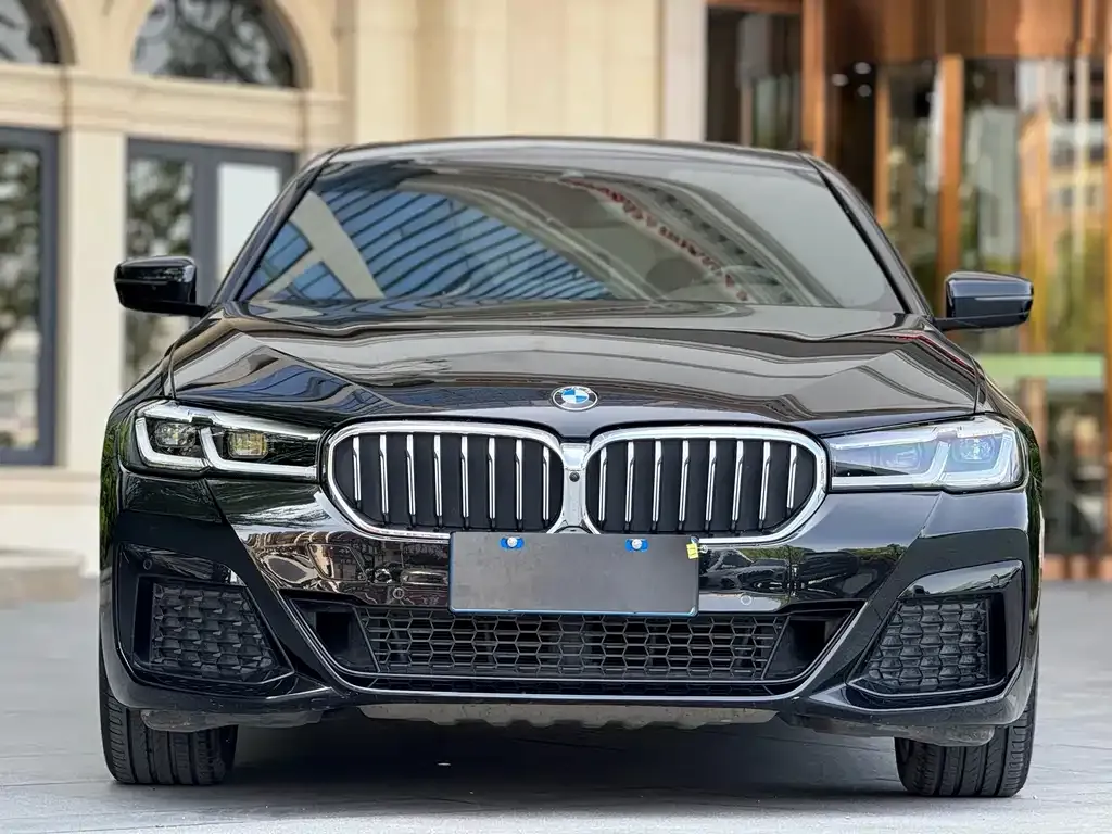 BMW 5 Series 2021 из CN, фото 8