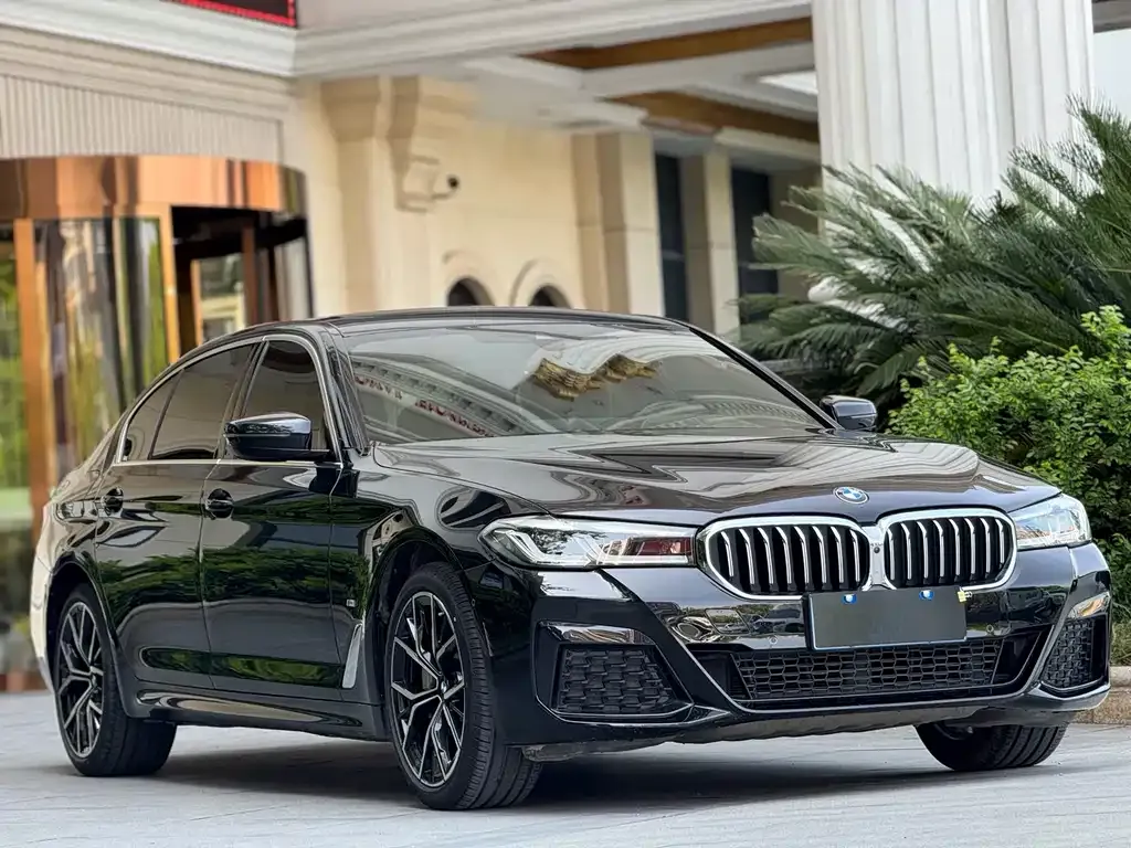 BMW 5 Series 2021 из CN, фото 10