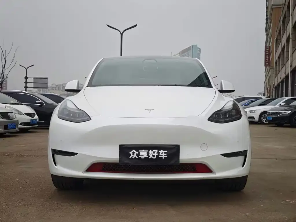 Tesla Model Y 2022 из CN, фото 3