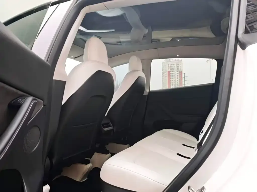 Tesla Model Y 2022 из CN, фото 2