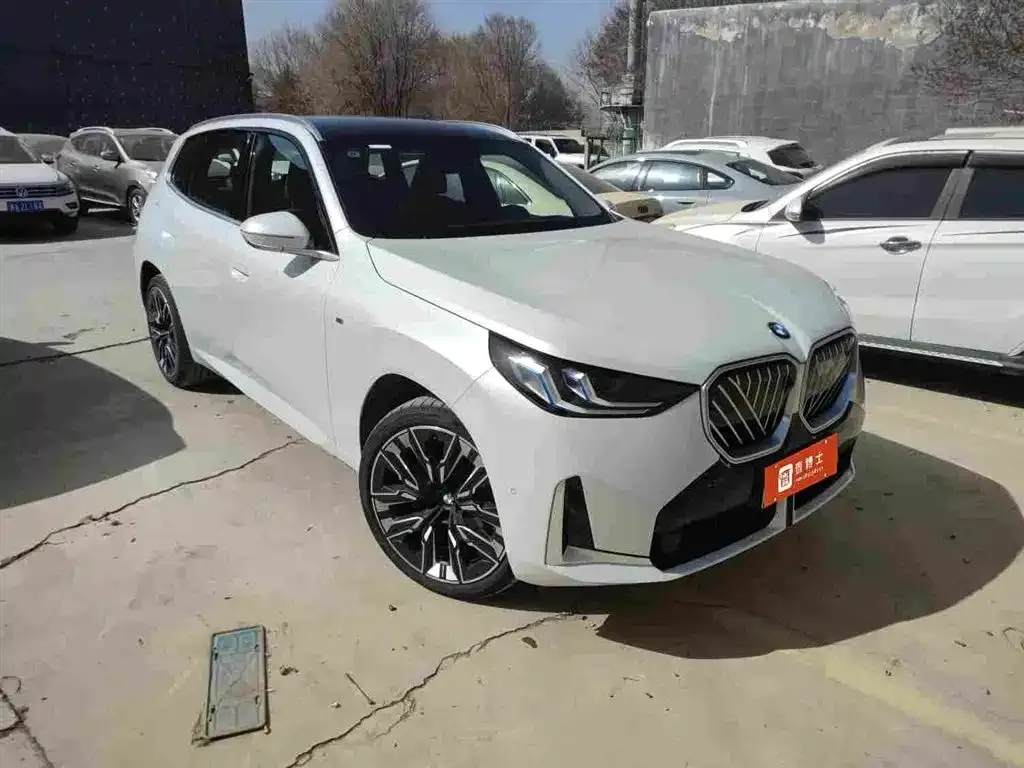 BMW X3 2025 из CN, фото 4