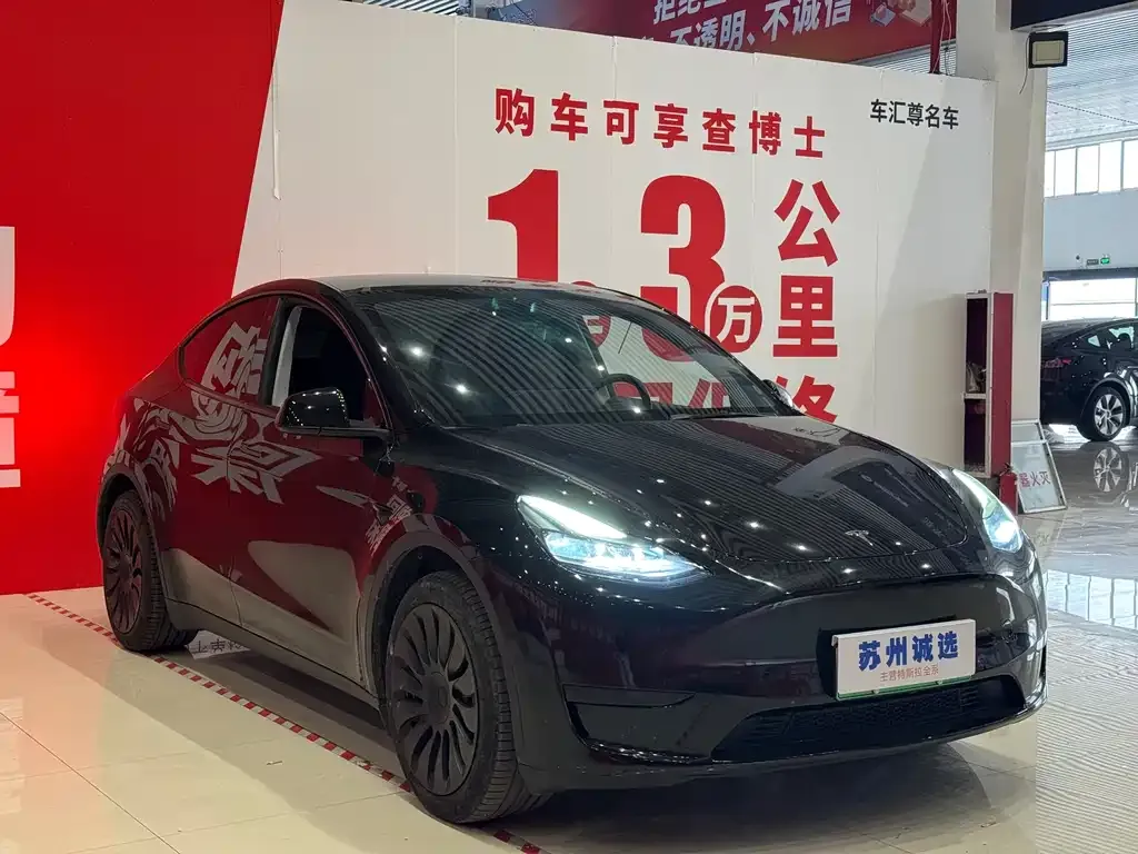 Tesla Model Y — фото 7