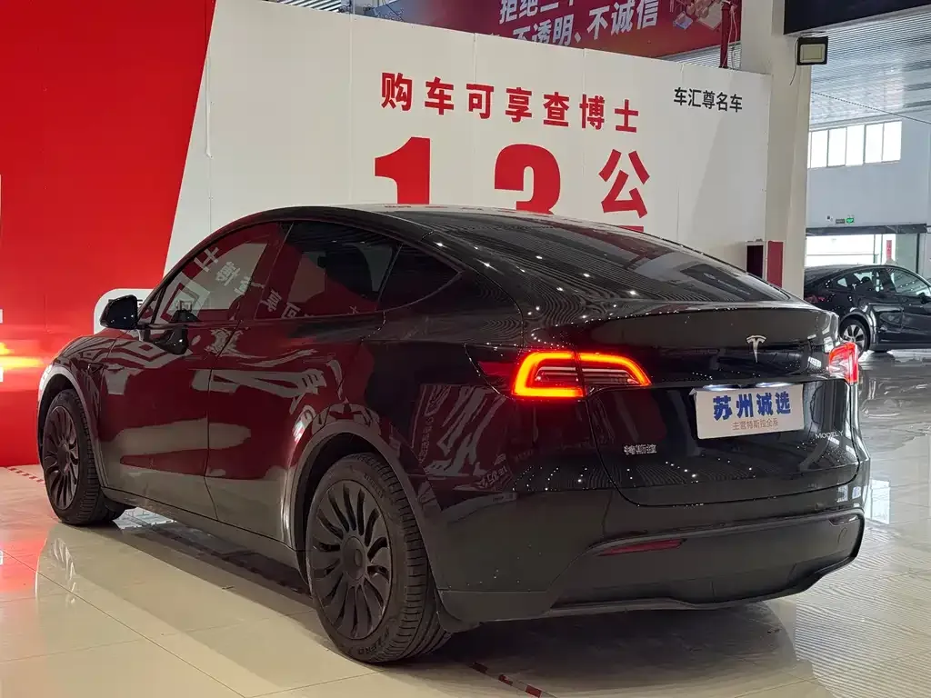 Tesla Model Y — фото 10