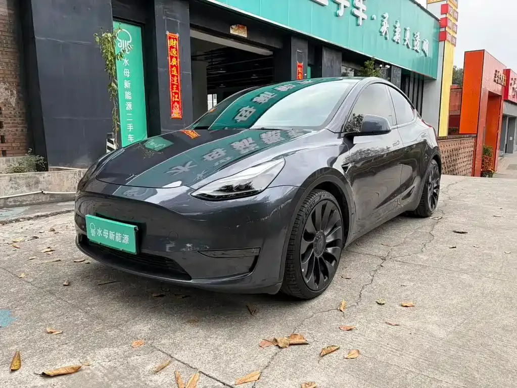 Tesla Model Y — фото 1