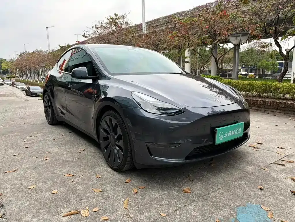 Tesla Model Y — фото 2