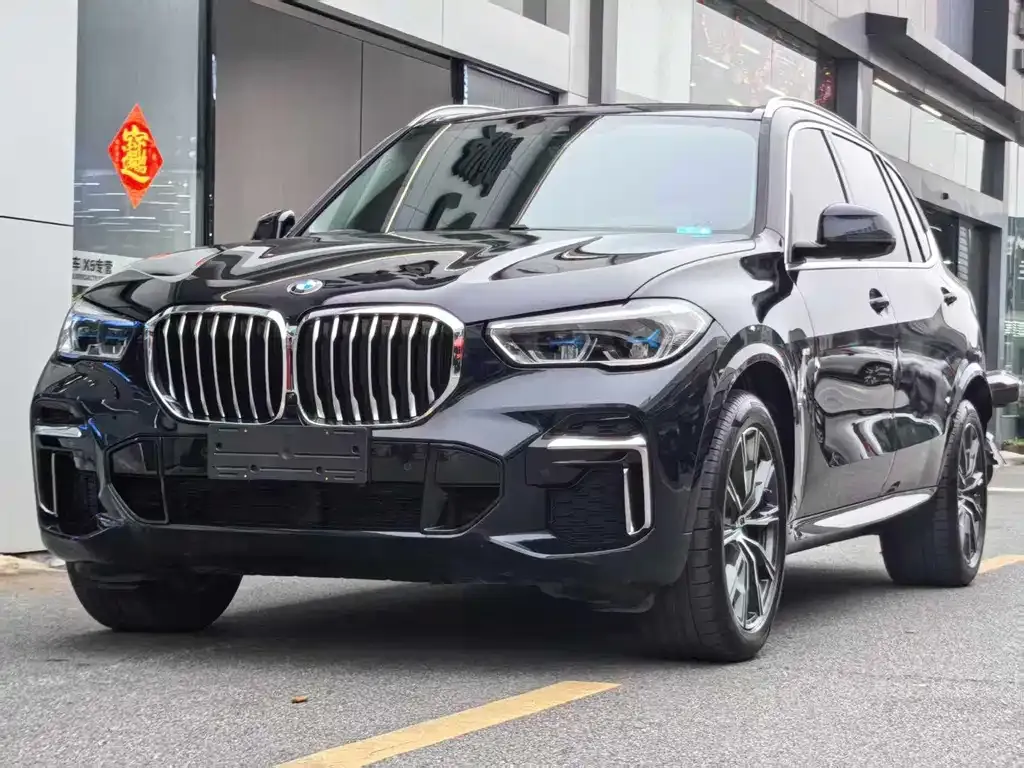 BMW X5 — фото 5
