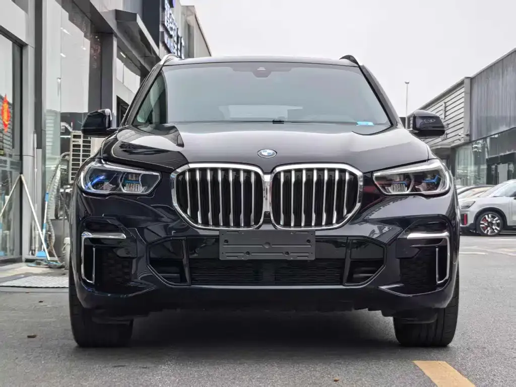 BMW X5 — фото 8