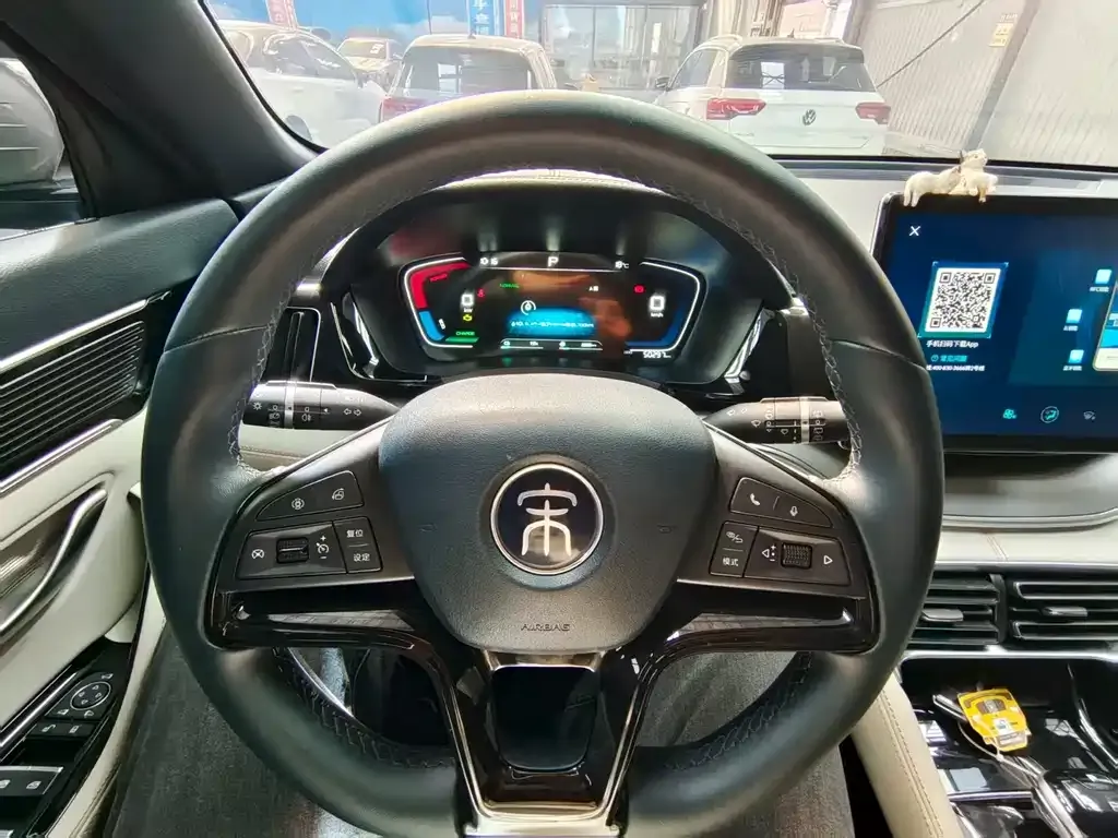 BYD PLUS 2023 из CN, фото 9
