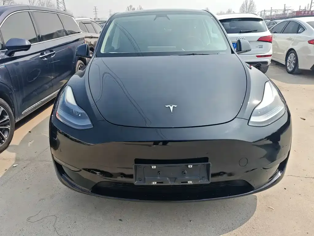 Tesla Model Y — фото 2