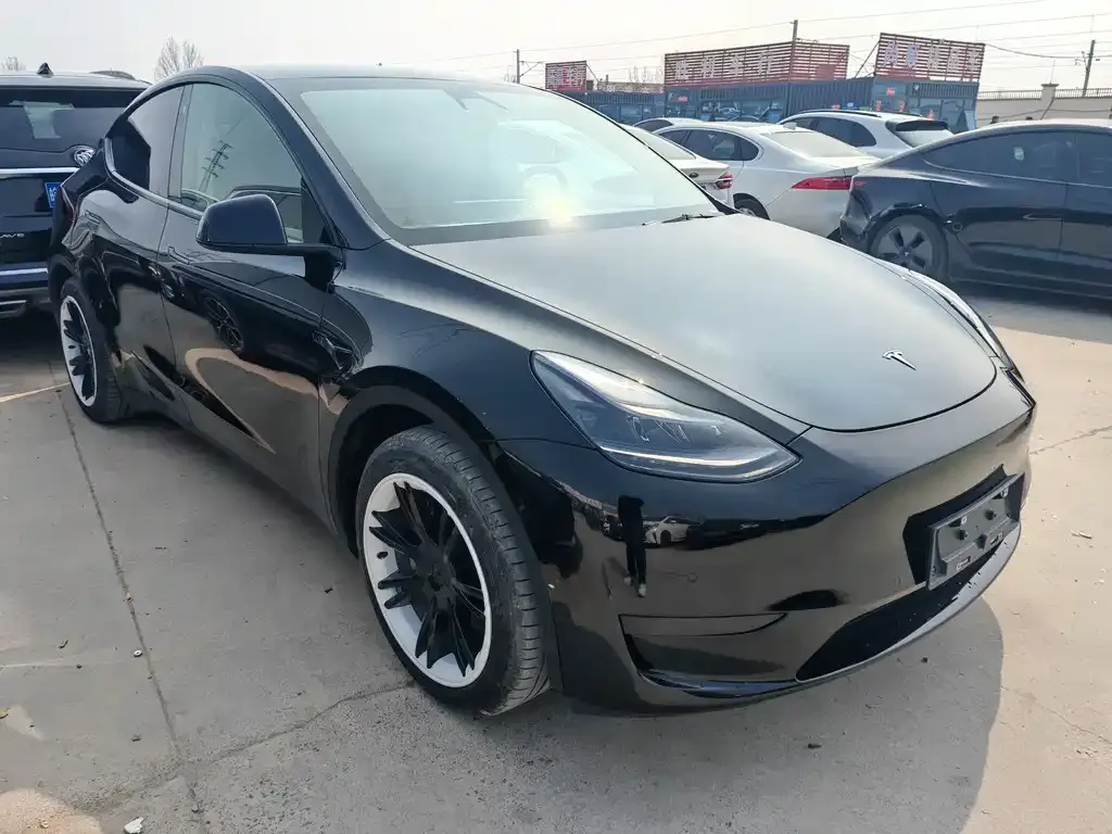 Tesla Model Y — фото 3