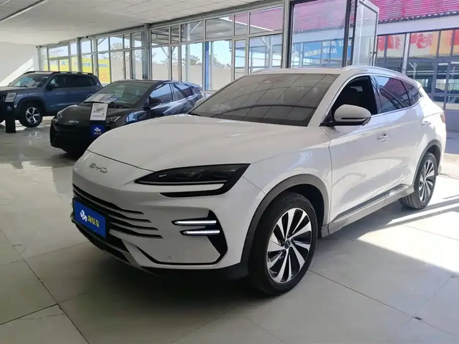 BYD PLUS New Energy — фото 1