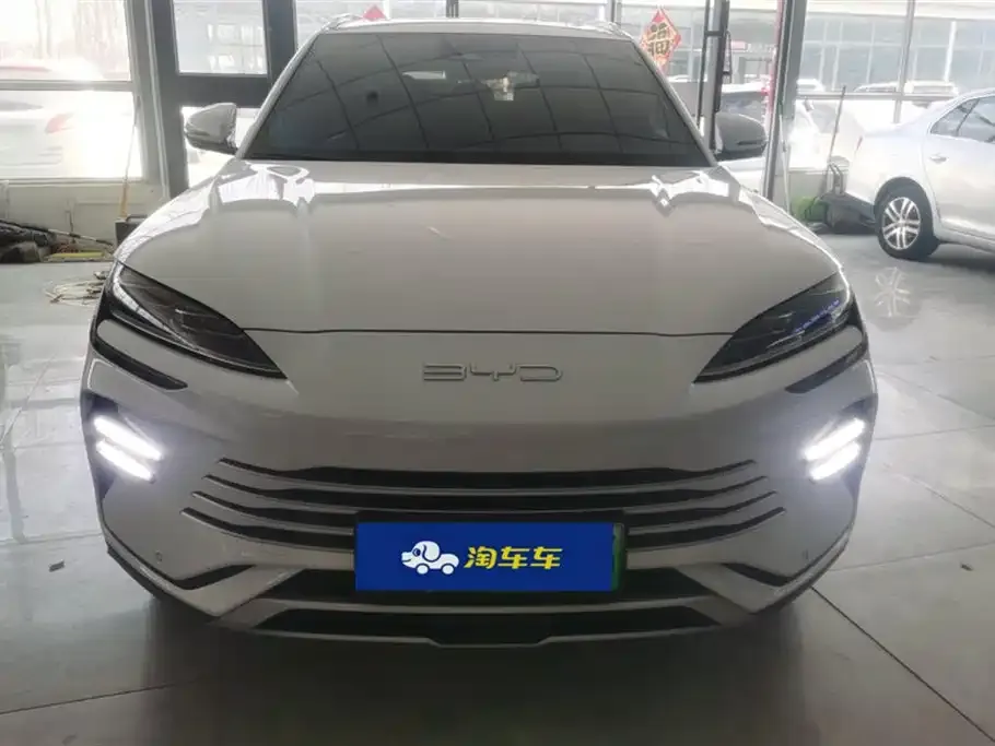 BYD PLUS New Energy — фото 10