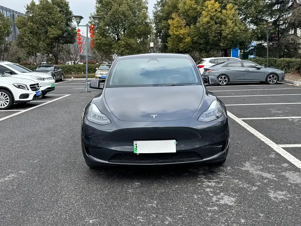 Tesla Model Y 2024 из CN, фото 10