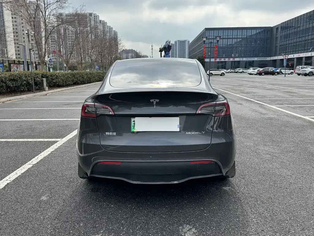 Tesla Model Y 2024 из CN, фото 5