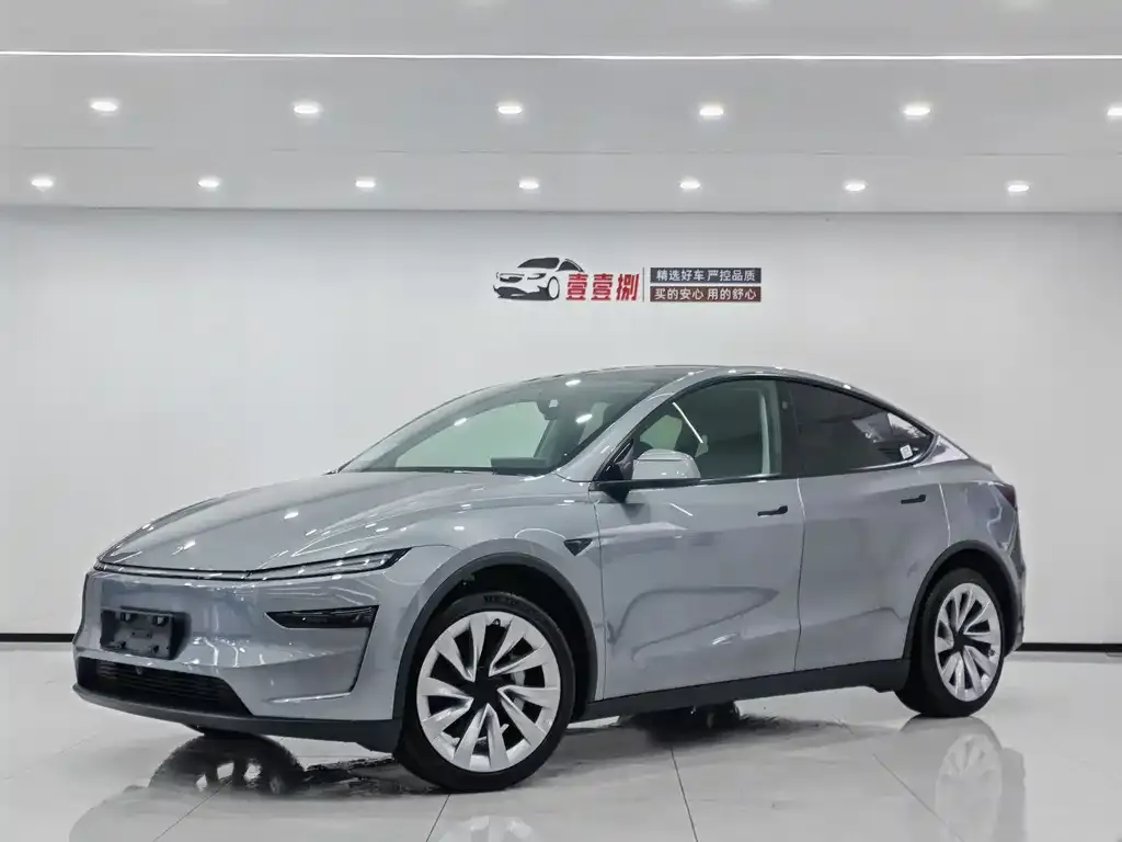 Tesla Model Y — фото 1
