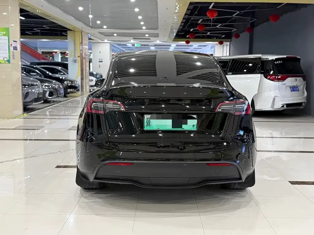 Tesla Model Y — фото 2