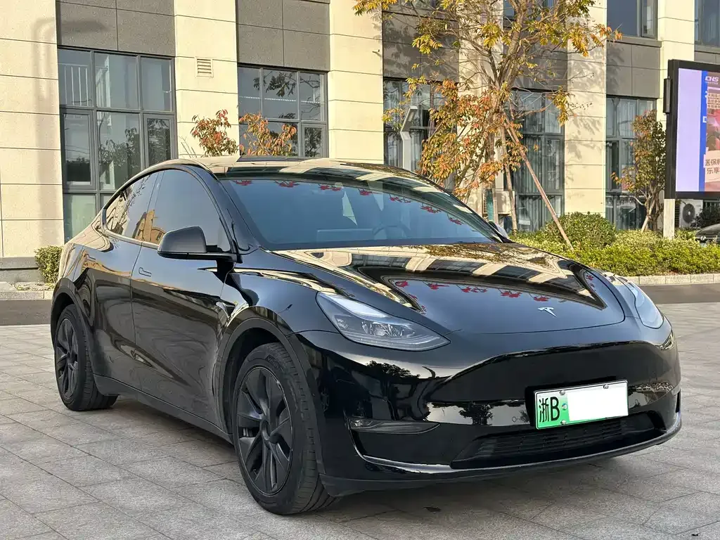 Tesla Model Y — фото 8