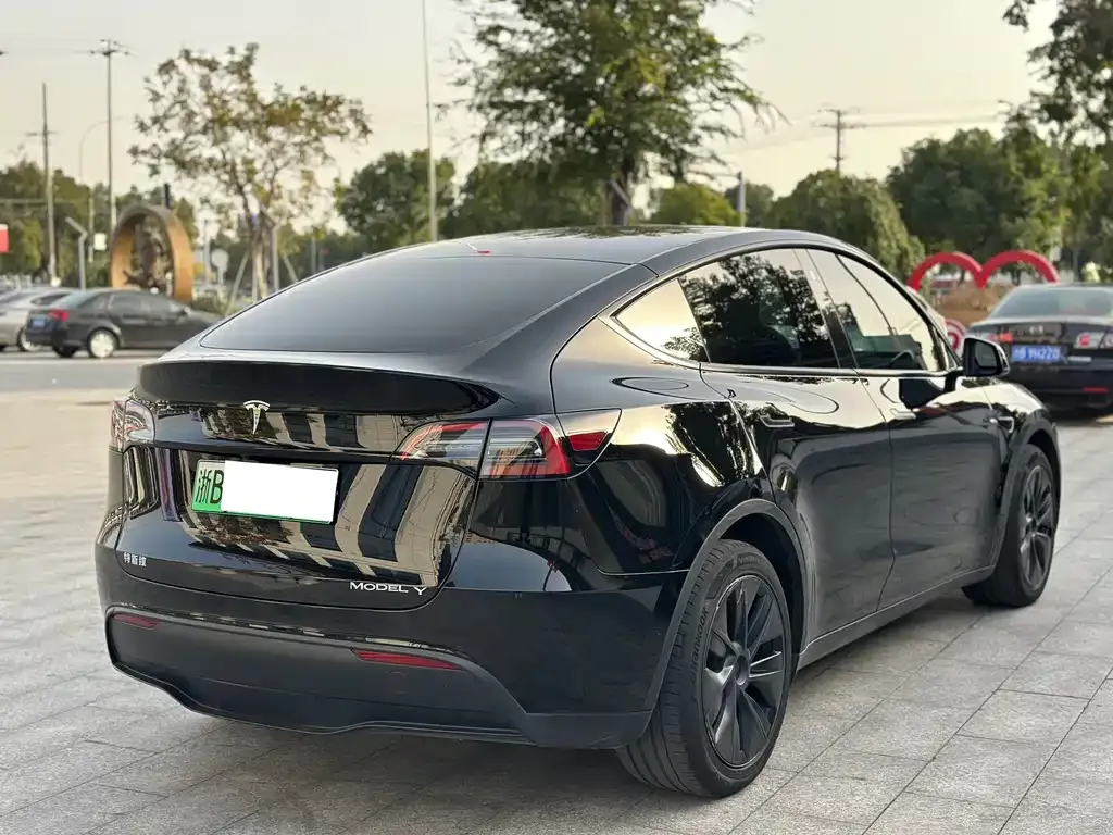 Tesla Model Y — фото 6