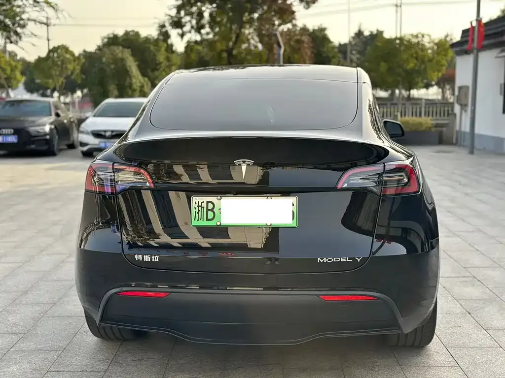 Tesla Model Y — фото 4