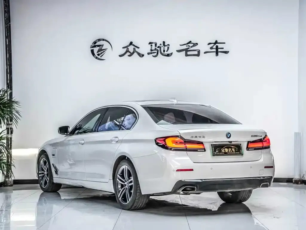 BMW 5 Series New Energy — фото 4