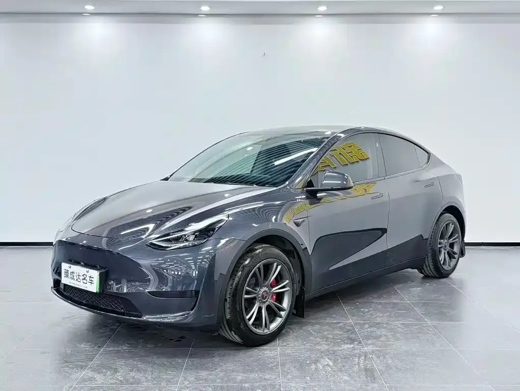 Tesla Model Y — фото 1