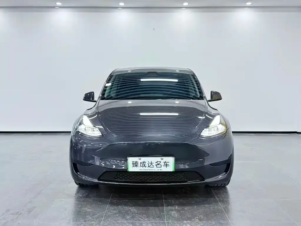 Tesla Model Y — фото 2