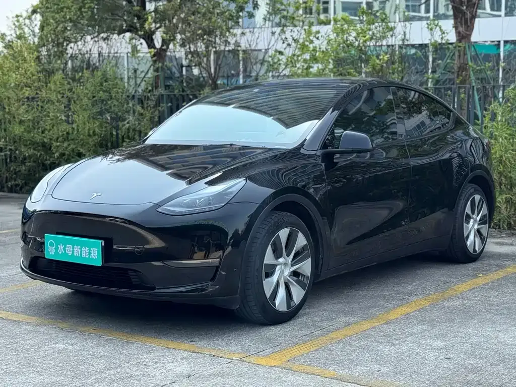 Tesla Model Y 2023 из CN, фото 1