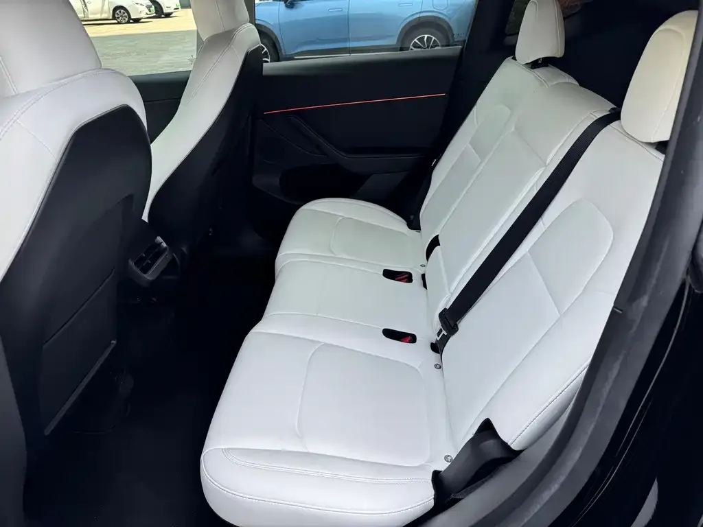 Tesla Model Y 2023 из CN, фото 5