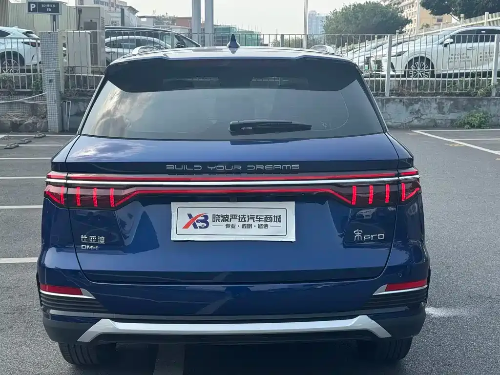 BYD Pro New Energy — фото 5