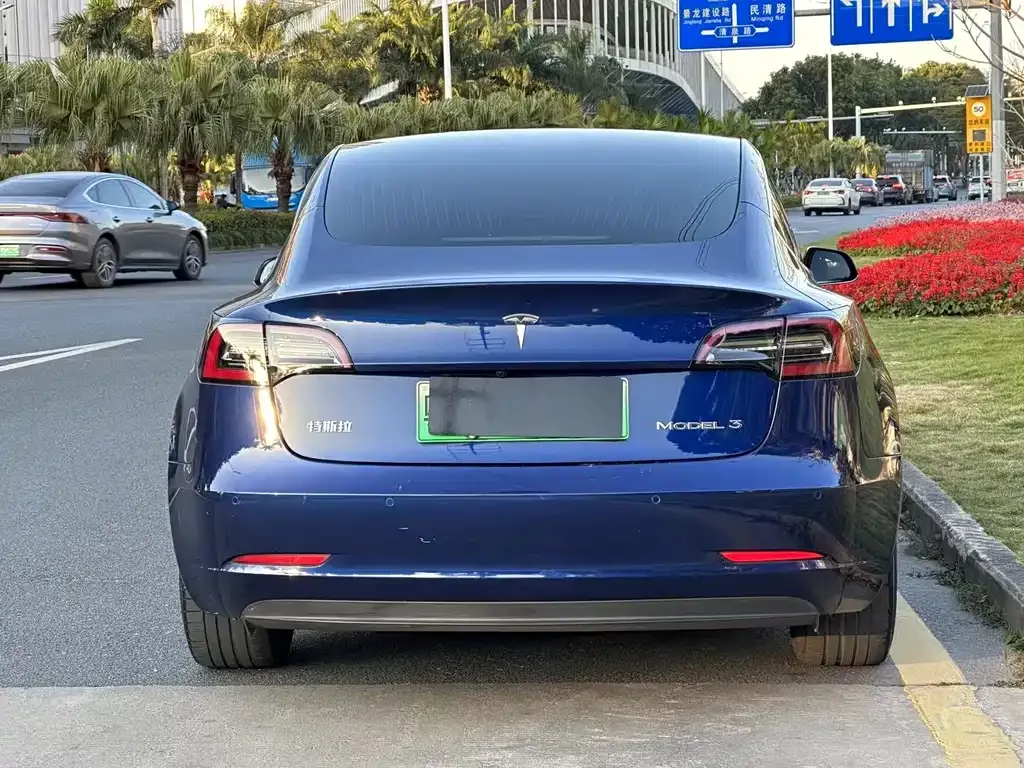Tesla Model 3 2021 из CN, фото 3